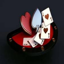 559bet