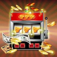 559bet