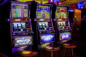 559bet